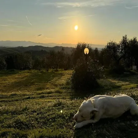 Appealing In With Garden Holiday home Gambassi Terme